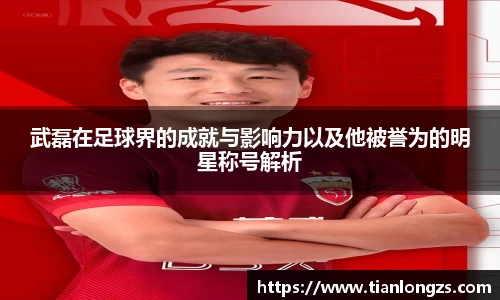 武磊在足球界的成就与影响力以及他被誉为的明星称号解析