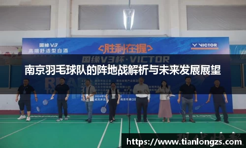 南京羽毛球队的阵地战解析与未来发展展望